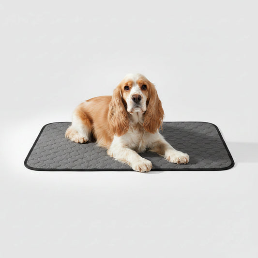 Washable Reusable Pee Pads for Dogs & Cats, Waterproof and Non-Slip, Sizes S to XL