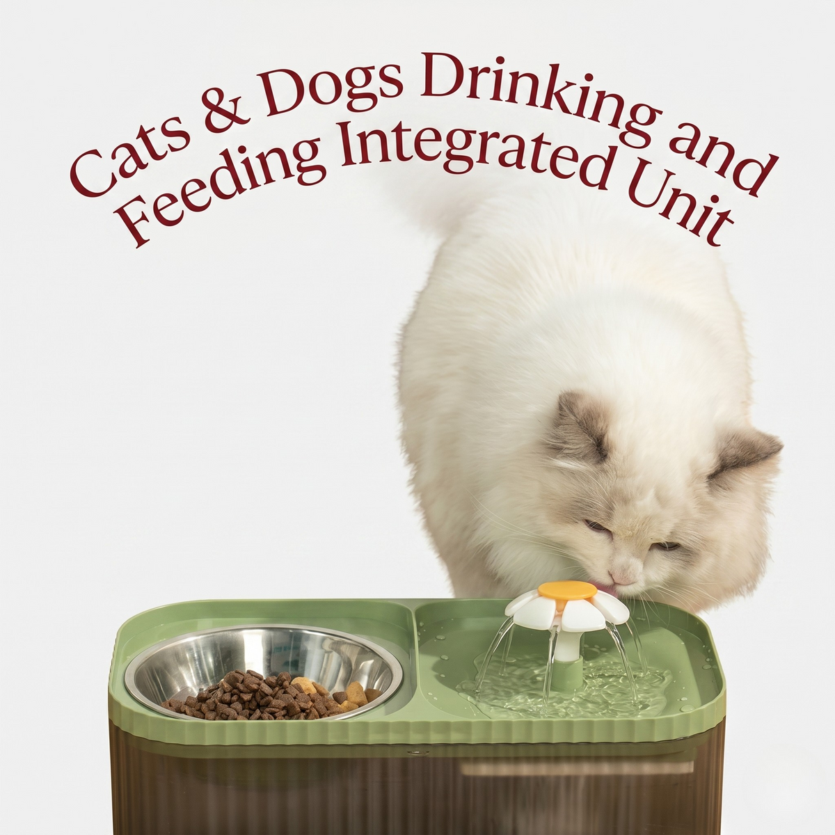 Quiet USB Pet Water Fountain for Cats & Small Dogs, Carbon Filter, Wide Drinking Platform