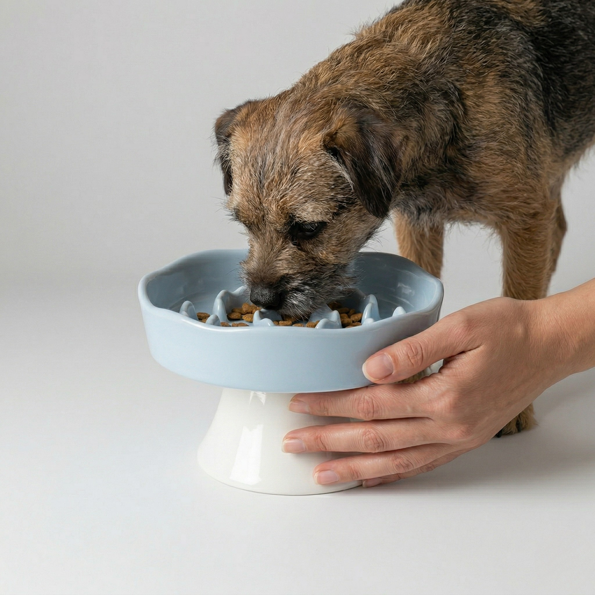 Raised Ceramic Slow Feeder Bowl for Cats & Small to Medium Dogs, Anti-Slip Base