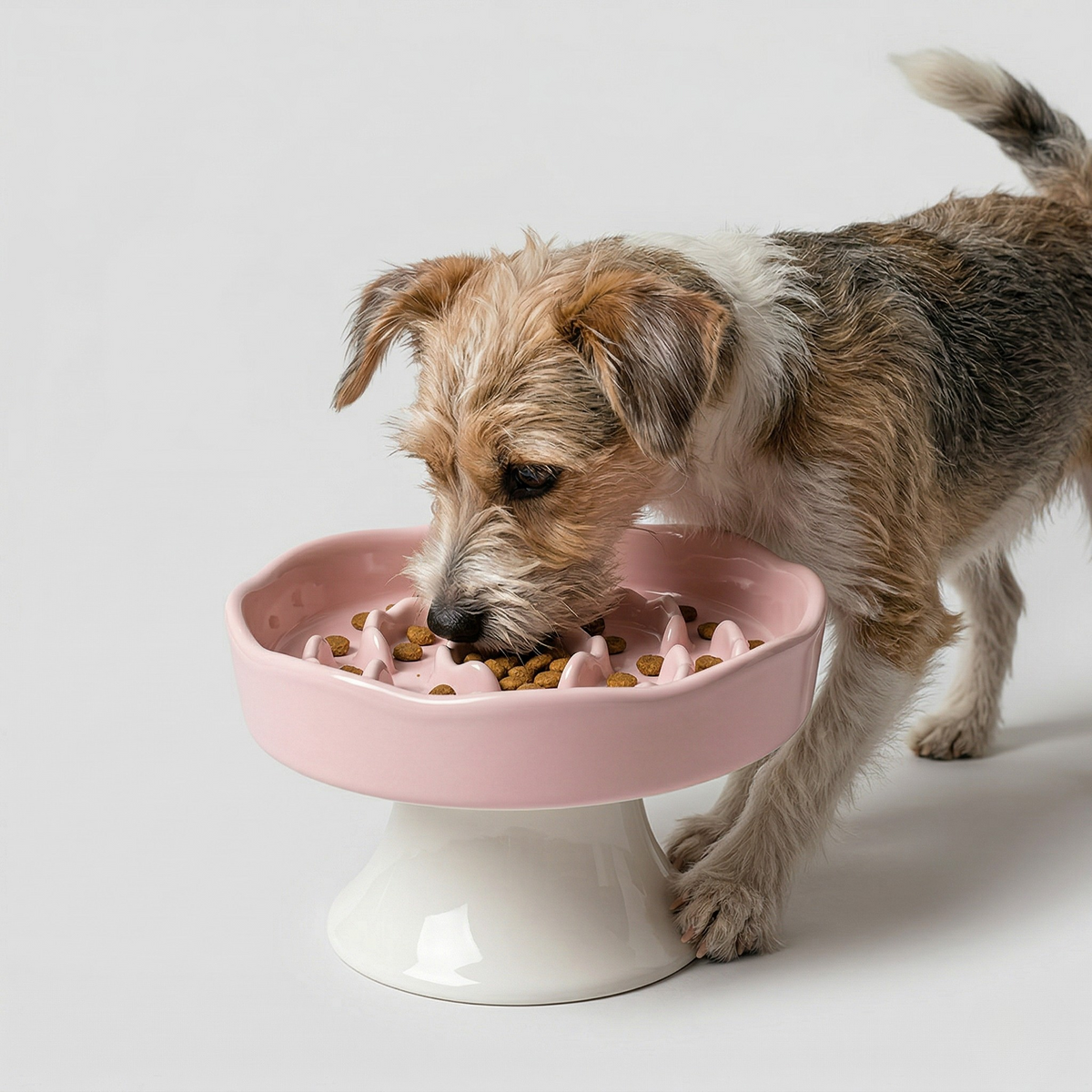 Raised Ceramic Slow Feeder Bowl for Cats & Small to Medium Dogs, Anti-Slip Base