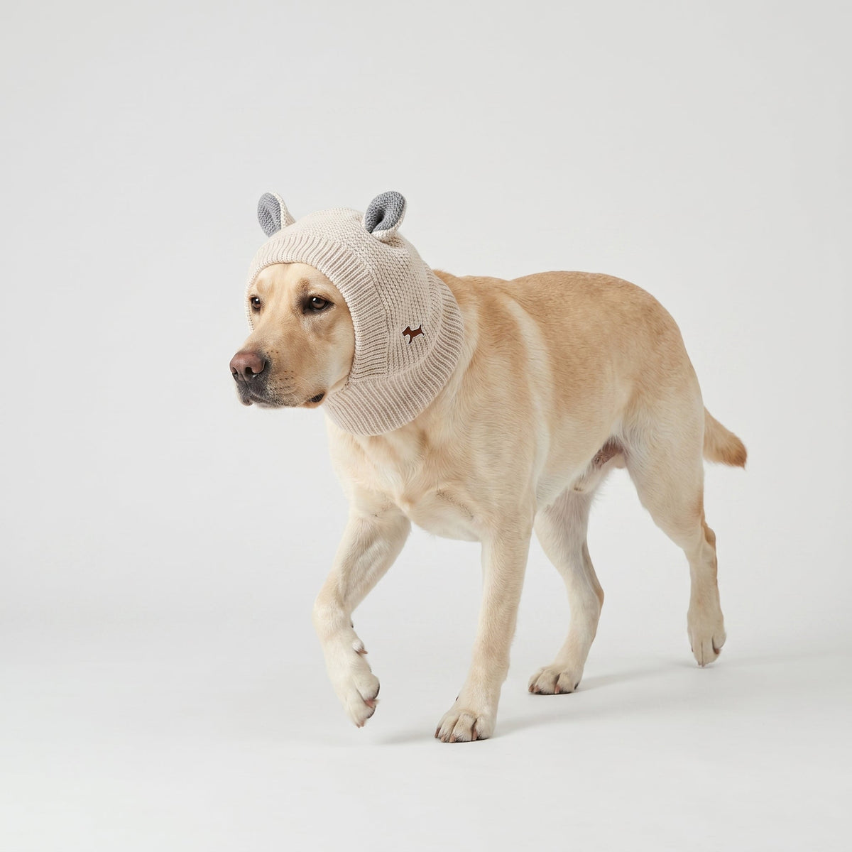 Warm Knitted Winter Dog Hat with Rabbit Ears for Large Dogs, Wind-Resistant Plush