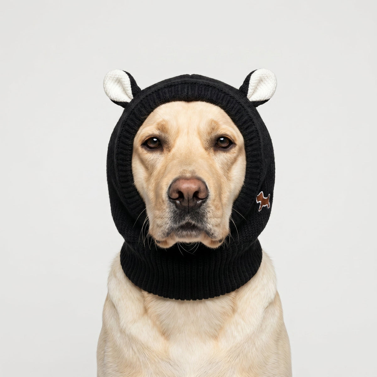Warm Knitted Winter Dog Hat with Rabbit Ears for Large Dogs, Wind-Resistant Plush
