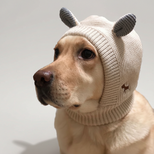 Warm Knitted Winter Dog Hat with Rabbit Ears for Large Dogs, Wind-Resistant Plush