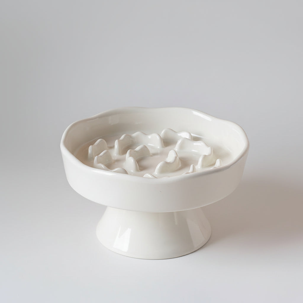 Raised Ceramic Slow Feeder Bowl for Cats & Small to Medium Dogs, Anti-Slip Base