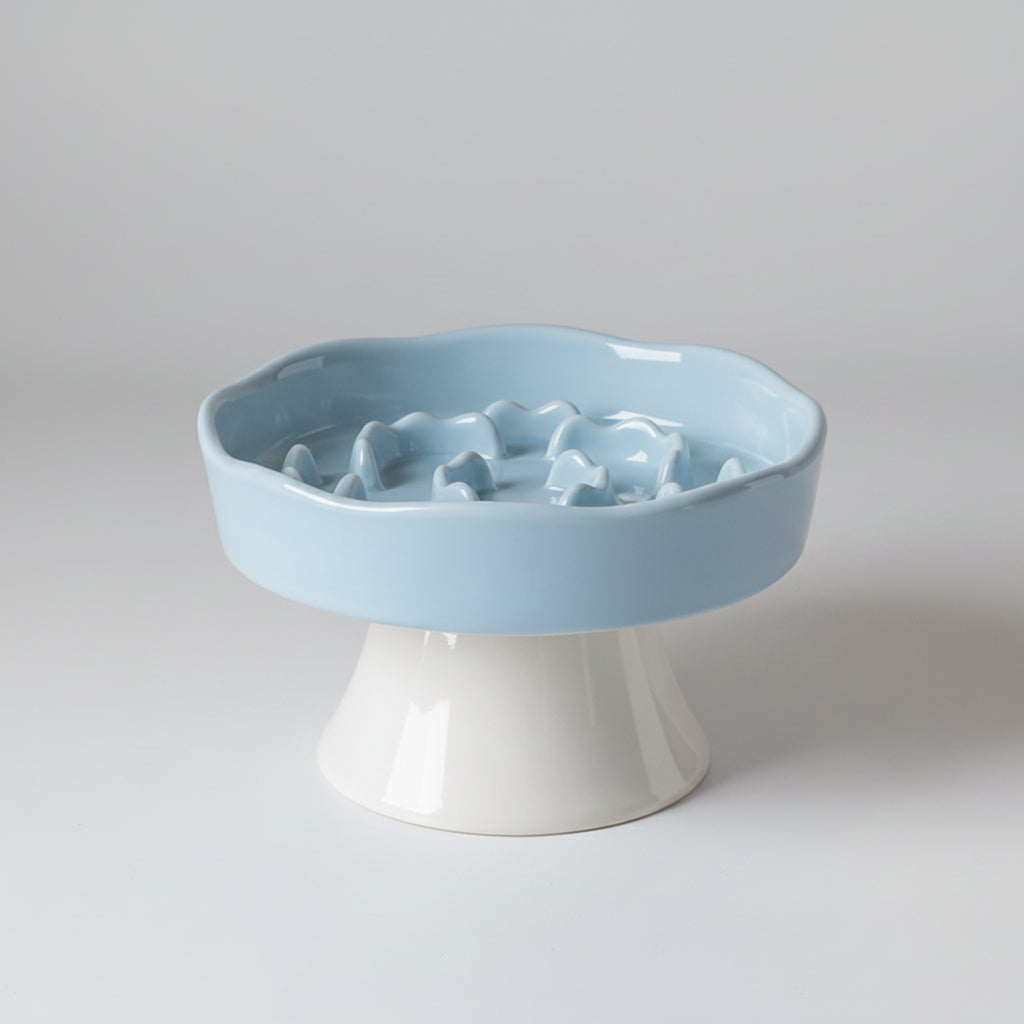 Raised Ceramic Slow Feeder Bowl for Cats & Small to Medium Dogs, Anti-Slip Base