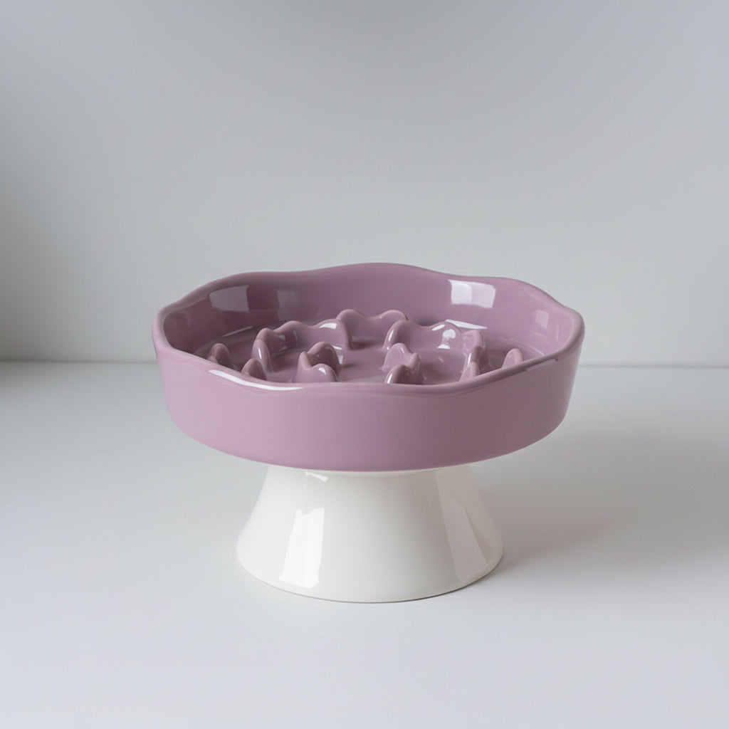 Raised Ceramic Slow Feeder Bowl for Cats & Small to Medium Dogs, Anti-Slip Base