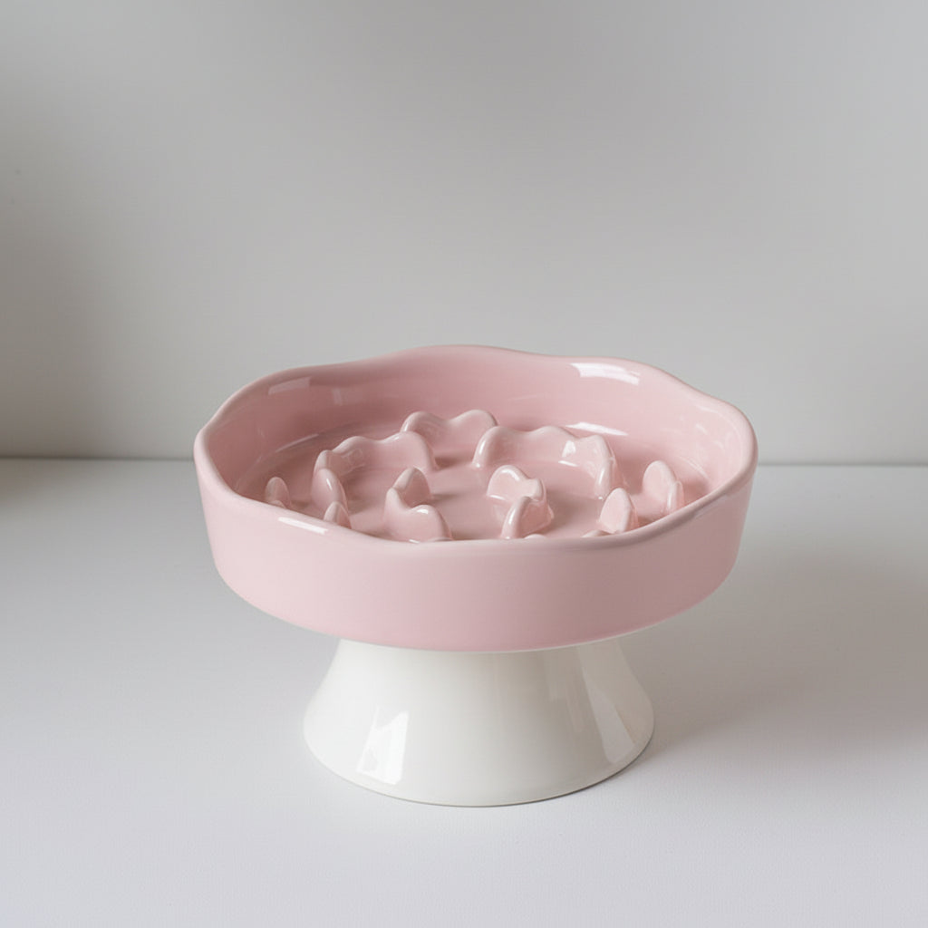 Raised Ceramic Slow Feeder Bowl for Cats & Small to Medium Dogs, Anti-Slip Base