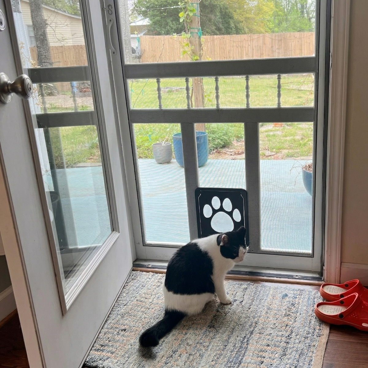 Lockable Pet Screen Door for Cats & Small Dogs, 4-Way Locking Flap for Mesh Screens